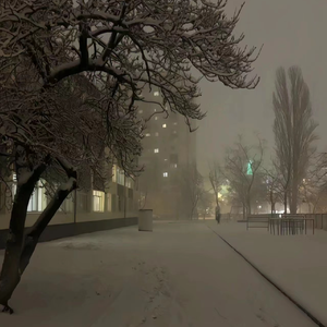 舞厅里挺进人妻的身体
