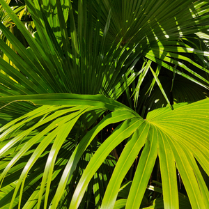 舞厅里挺进人妻的身体
